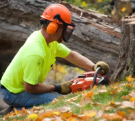 tree services Weir